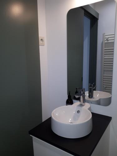 尼奥尔Un Appart en Ville的浴室设有白色水槽和镜子