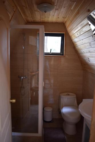 Santa BárbaraDomos Nelkewue的浴室配有卫生间、淋浴和盥洗盆。