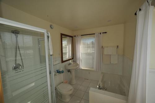 Little Shemogue小西摩格旅馆的浴室配有卫生间、盥洗盆和淋浴。