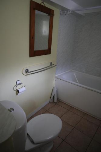 GwennapCornish Thatched Cottage的一间带卫生间和浴缸的浴室