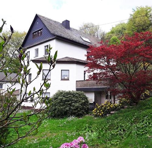 尼尔堡Green Corner Nürburg的一座白色的大房子,有红树和鲜花