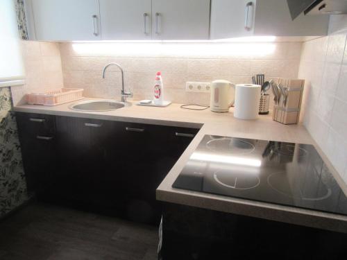 里加Family Apartment的厨房配有水槽和台面