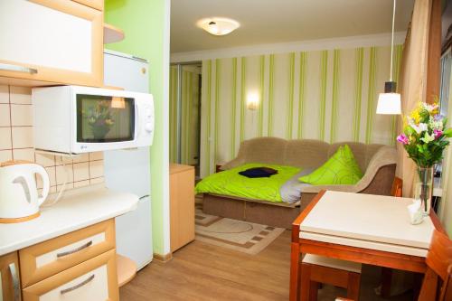 扎波罗热Semi-luxury Apartment on Nezalezhnoi Ukrаiny 65-B near Intourist Hotel的一个小客厅,配有沙发和绿毯