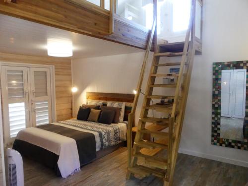 圣罗斯Perle de Clugny的一间卧室配有一张双层床和梯子