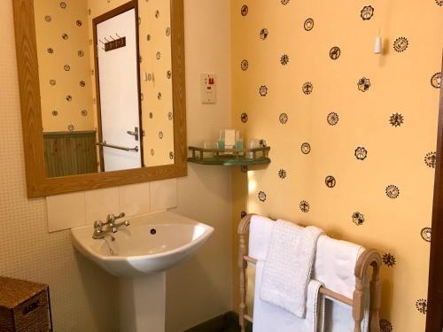 斯凯格内斯桑尼戴尔酒店的浴室配有盥洗盆、镜子和毛巾