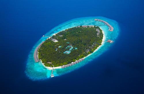 芭环礁杜斯特酒店&度假村的海洋中的一个岛屿