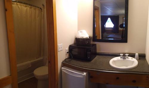 沃瓦Algoma Motel的一间带水槽、卫生间和镜子的浴室