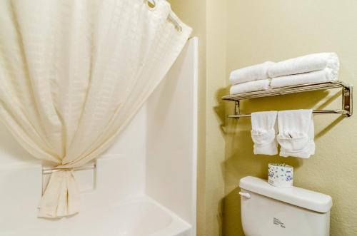 KerseyCobblestone Inn & Suites-Kersey的浴室配有淋浴帘、卫生间和毛巾。
