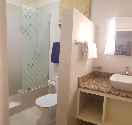 圣乔治蓝色地平线花园度假酒店的浴室配有卫生间、盥洗盆和淋浴。