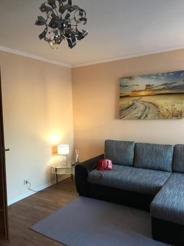 萨尔布吕肯Central-Apartment-Adria的带沙发和吊灯的客厅