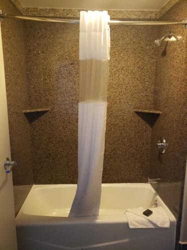 伯班克伯班克波托菲诺酒店的浴室设有带浴帘的浴缸