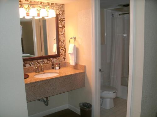 奥尔巴尼快乐阿克斯酒店的一间带水槽、卫生间和镜子的浴室