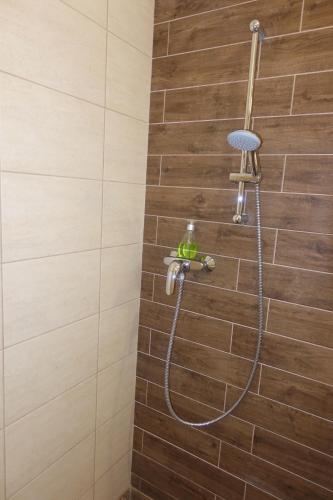 布达佩斯Frank & Fang Apartments MK7的浴室内带软管的淋浴