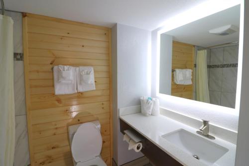 加特林堡加特林堡市中心约翰逊酒店的一间带卫生间、水槽和镜子的浴室