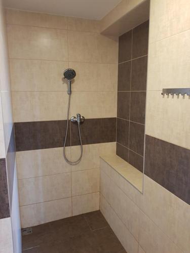兹林ALICE酒店的浴室内配有淋浴和头顶淋浴