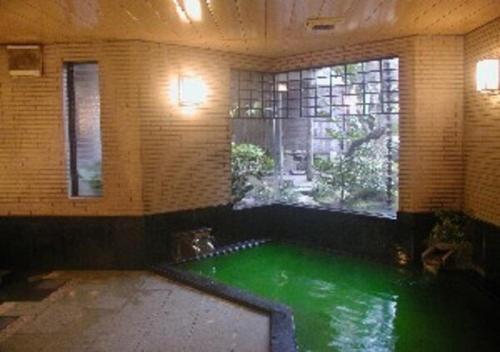 酒田市Wakaba Ryokan / Vacation STAY 29375的窗户房间里一片绿色的水