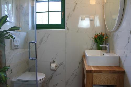 普利特维采湖Tesla's Gastro House Plitvice的一间带水槽、卫生间和镜子的浴室