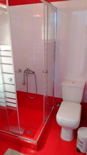 帕拉利昂阿斯特罗Violetta Studios的一间带卫生间和玻璃淋浴间的浴室