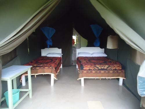 Ololaimutiek犀牛旅游营地旅馆的帐篷内带两张床的房间