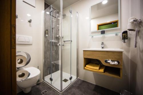 内卡河畔弗赖贝格罗斯勒酒店的带淋浴、卫生间和盥洗盆的浴室