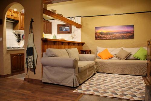 Las Cañadas del TeideCasa Tajinastes del Teide的客厅配有床和沙发