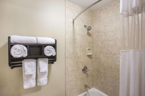 摩押莫亚拉昆塔套房酒店的带淋浴和墙上毛巾的浴室