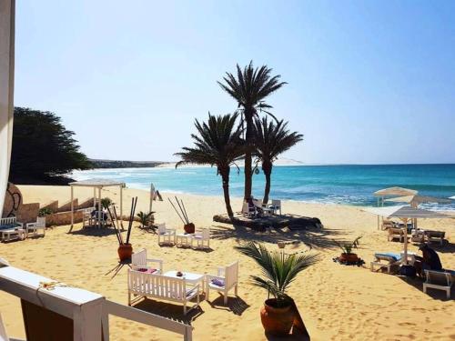 萨尔雷Apart-Hotel Ca Elsa的海滩上,有椅子和棕榈树,还有大海