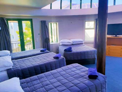 奥克兰帕克兰汽车旅馆的一间卧室设有三张床、一台电视和窗户。
