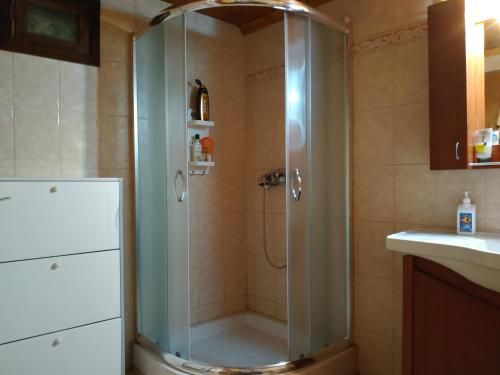阿瑞达伊亚Loutra Mountain Nature的浴室里设有玻璃门淋浴