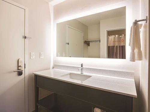 亚特兰大亚特兰大市中心 - 巴克黑德拉金塔旅馆及套房的一间带水槽和大镜子的浴室