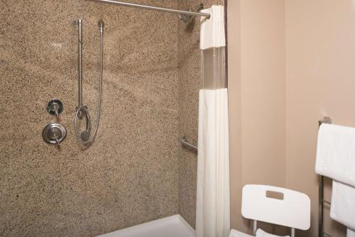 博兹曼酒店拉琴塔旅馆及酒店博兹曼酒店的带淋浴和浴帘的浴室