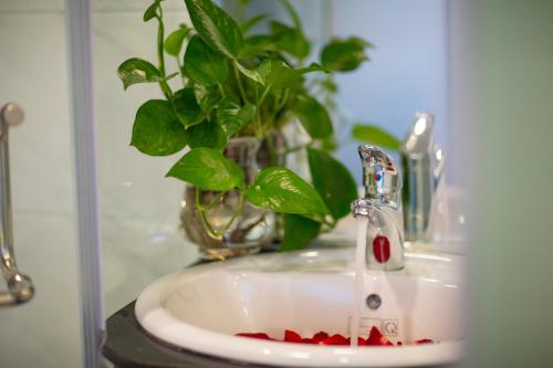 河内Hanoi Amber Hotel的浴室水槽上装有盆栽植物