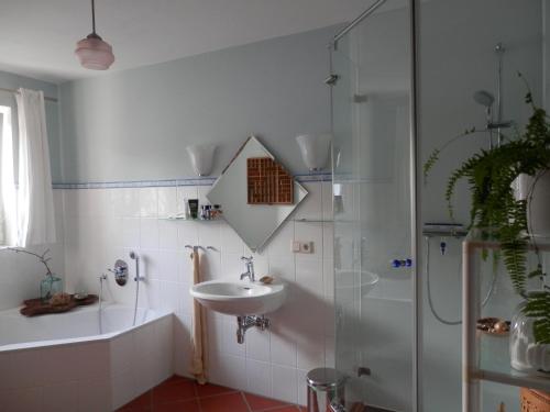 AlfterTausendschön的一间带水槽和淋浴的浴室