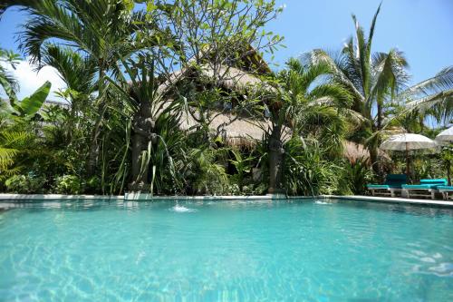 蓝梦岛Tigerlillys Boutique Hotel的一个带蓝色椅子的游泳池,棕榈树