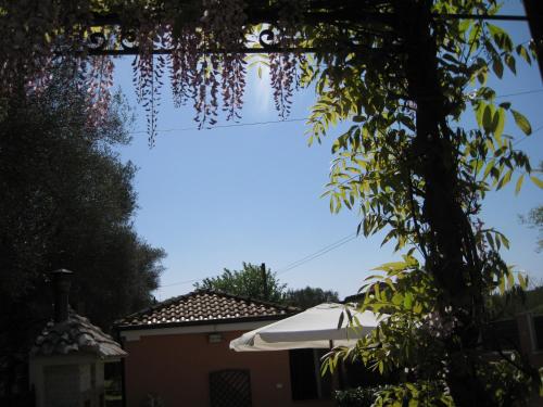 帕利努罗Casa Vacanze Mimose的从树下欣赏天空美景