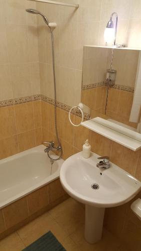 诺哈Apartamento Turístico Los Altos的浴室配有水槽、淋浴和浴缸。
