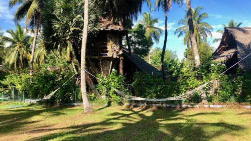卡尔皮蒂耶Wind Blend Kite Resort的棕榈树的房子,前面设有吊床