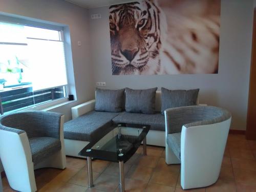 ObersuhlGästehaus Kleine Lana的客厅配有沙发,墙上挂着老虎照片