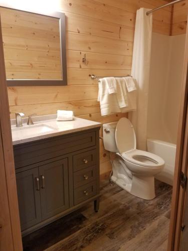 加德纳406 Lodge at Yellowstone的一间带卫生间、水槽和镜子的浴室