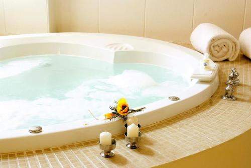 利马旋律酒店的鸟坐在浴缸的边缘