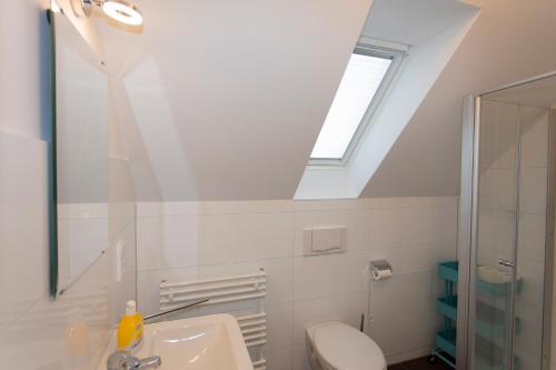 德雷施维茨Haus Residence的一间带水槽、卫生间和天窗的浴室