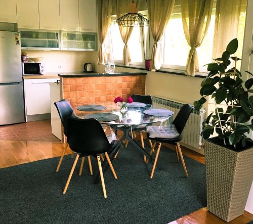 普利特维采湖Tisa - SELF CHECK-IN的厨房配有桌椅