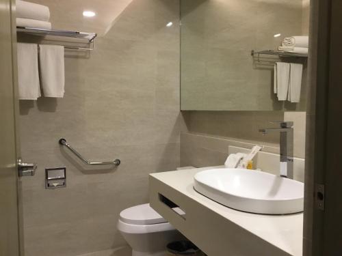 巴科洛德巴科洛德尔费舍尔酒店的一间带水槽、卫生间和镜子的浴室