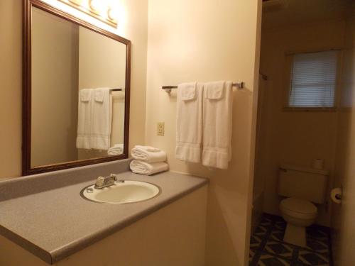 马吉谷Clarketon Motel - Maggie Valley的一间带水槽、镜子和卫生间的浴室