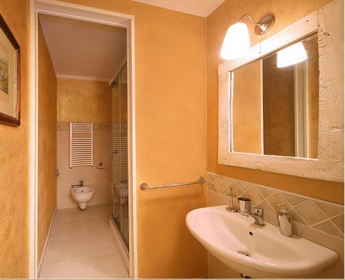 锡耶纳Casacenti B&B的一间带水槽、卫生间和镜子的浴室