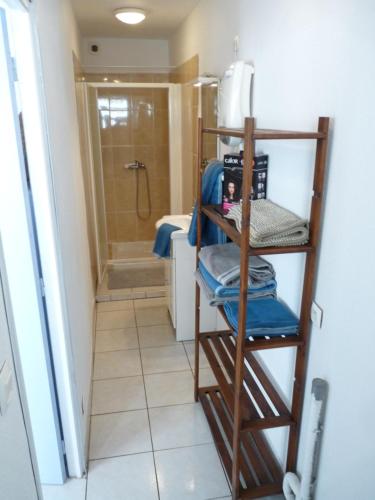 佩里阿克海appartement de la callade的带淋浴的浴室和木制架子
