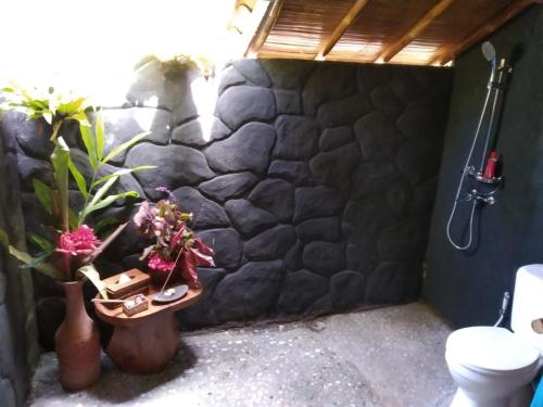 PenebelBali mountain forest cabin的浴室设有石墙、卫生间和植物