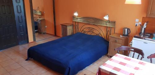 切霍齐内克Letnisko Ciechocinek的一间带蓝色床的卧室和一间厨房