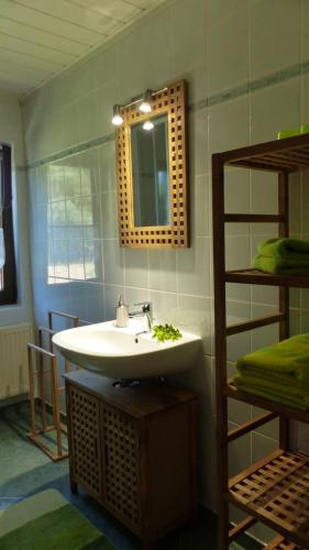 吕本Amselgarten的一间带水槽和镜子的浴室