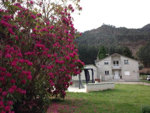 蒙多涅多芬卡埃尔雷曼苏乡村别墅的一座房子前面的灌木丛,花粉红色